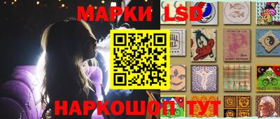 крисы Шебекино
