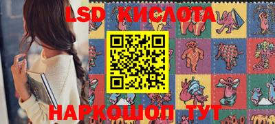 крисы Шебекино