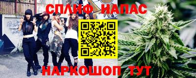 крисы Шебекино