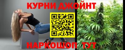 крисы Шебекино