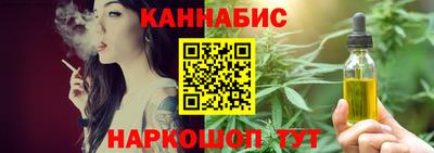 крисы Шебекино