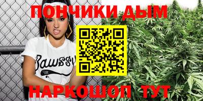 крисы Шебекино