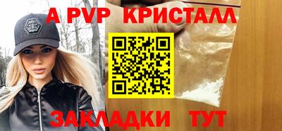 крисы Шебекино