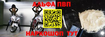 крисы Шебекино