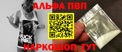 крисы Шебекино
