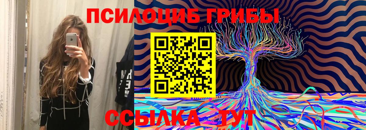 Галлюциногенные грибы Cubensis  Галлюциногенные грибы Psilocybine cubensis  Белебей  Вход с VPN 
