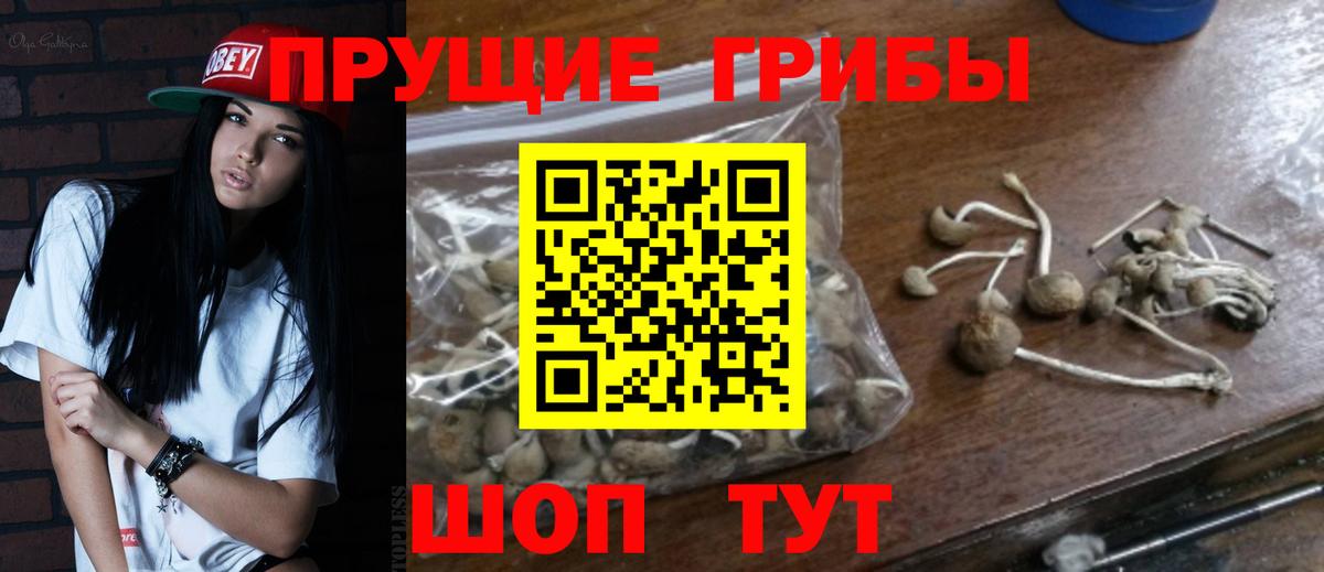 Псилоцибиновые грибы ЛСД Белебей